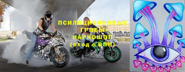 не бодяженный Новодвинск