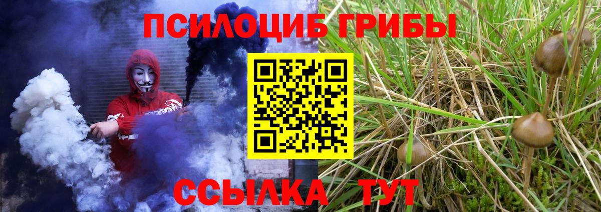 Галлюциногенные грибы MAGIC MUSHROOMS  наркошоп  Калининград  Вход с VPN 