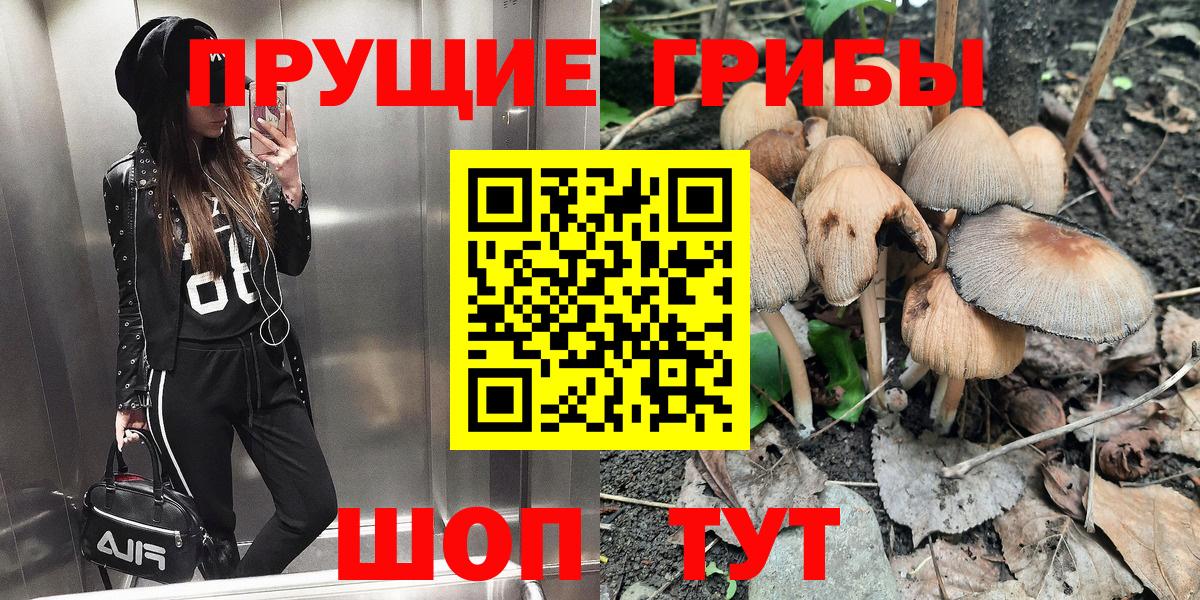Галлюциногенные грибы мицелий Калининград