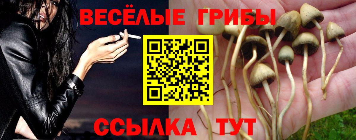 Псилоцибиновые грибы Magic Shrooms Калининград